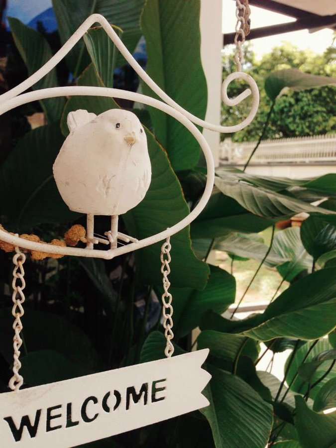 فيزيو بلس - Physio Plus